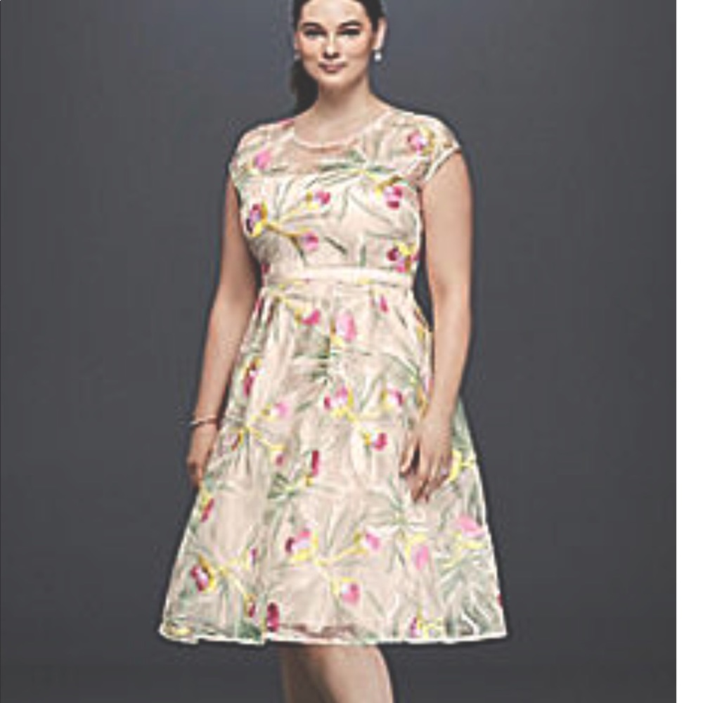 David’s Bridal plus size Dress